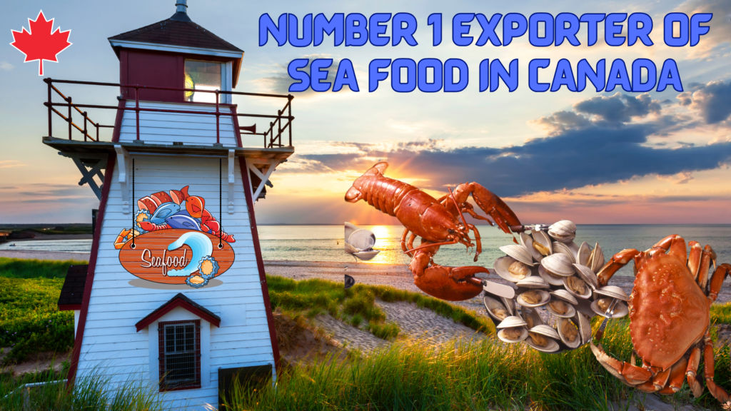 Sea Food Exporter