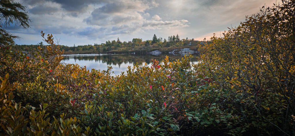 First day of Fall 